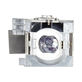 ViewSonic RLC-100 Projector Lamp — Being Shipped