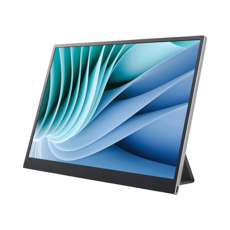 LG gram +view 16" 16:10 60Hz WQXGA IPS Portable Monitor (Silver) — Being Shipped