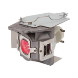ViewSonic RLC-078 Projector Lamp — Being Shipped