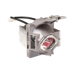 ViewSonic RLC-123 Lamp for ViewSonic Projectors — Being Shipped