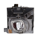 ViewSonic RLC-109 Projector Lamp — Being Shipped