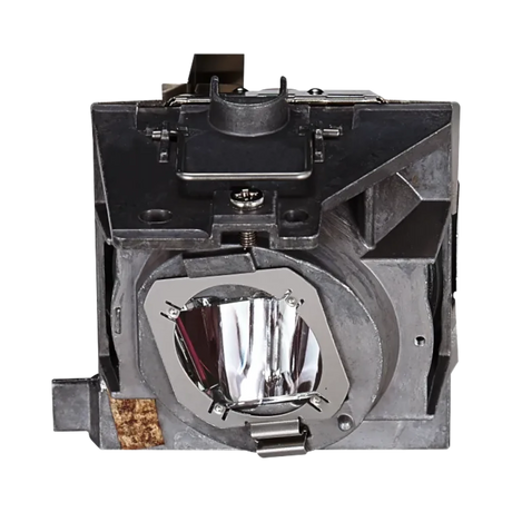 ViewSonic RLC-109 Projector Lamp — Being Shipped