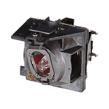 ViewSonic RLC-109 Projector Lamp — Being Shipped