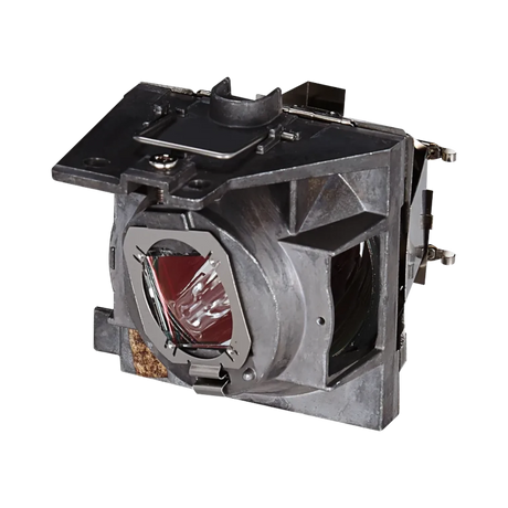 ViewSonic RLC-109 Projector Lamp — Being Shipped