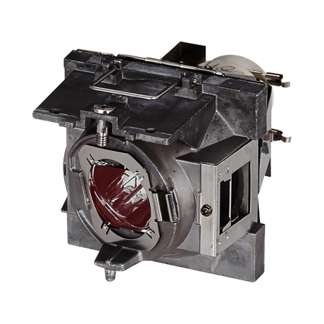 ViewSonic RLC-108 Projector Replacement Lamp — Being Shipped