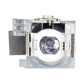 ViewSonic RLC-097 Projector Lamp — Being Shipped