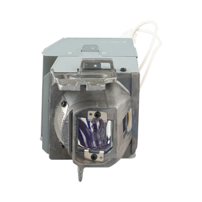 ViewSonic RLC-128 Lamp for ViewSonic Projectors — Being Shipped