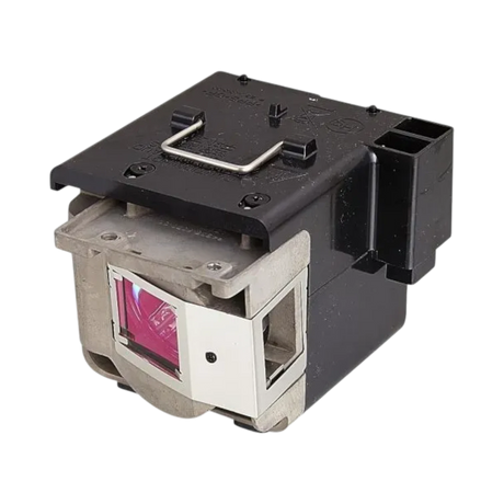 ViewSonic RLC-050 Projector Lamp — Being Shipped