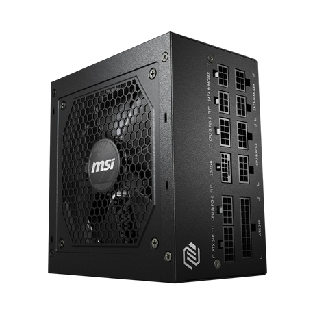 MSI MAG A750GL PCIE5 750W 80 Plus Modular Power Supply — Being Shipped
