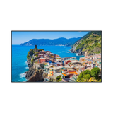 Panasonic TH-75EQ2W 74.5" 16:9 60Hz 4K IPS Digital Signage Display — Being Shipped
