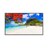 Panasonic SQ2HW Series 55" 16:9 60Hz UHD 4K VA LCD Commercial Monitor — Being Shipped