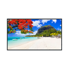 Panasonic SQ2HW Series 55" 16:9 60Hz UHD 4K VA LCD Commercial Monitor — Being Shipped