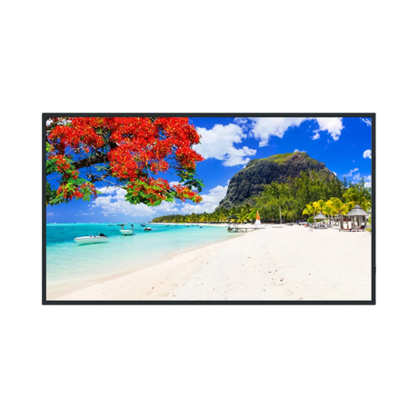 Panasonic SQ2HW Series 65" 16:9 60Hz UHD 4K IPS Commercial Monitor — Being Shipped