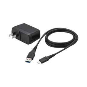 Panasonic USB AC Power Adapter Charger — Being Shipped
