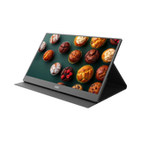 AOC 16E10 16" Class 60Hz FHD LED Monitor — Being Shipped