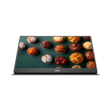 AOC 16E10 16" Class 60Hz FHD LED Monitor — Being Shipped