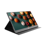 AOC 16E10 16" Class 60Hz FHD LED Monitor — Being Shipped