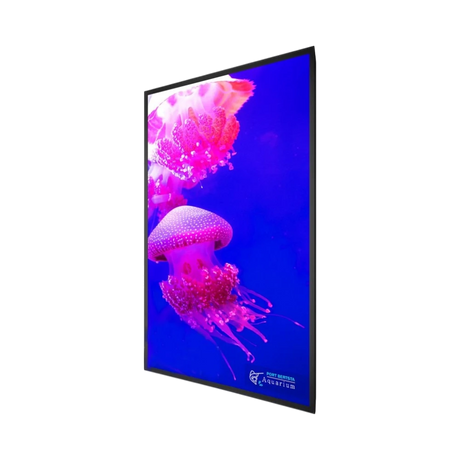 Planar Systems UltraRes X Series 75" 16:9 60Hz UHD 4K HDR VA LCD Commercial Monitor — Being Shipped