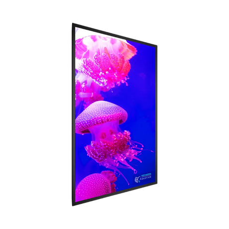 Planar Systems UltraRes X Series 75" 16:9 60Hz UHD 4K HDR VA LCD Commercial Monitor — Being Shipped