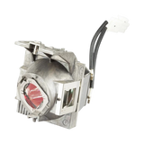 ViewSonic RLC-127 Projector Lamp — Being Shipped