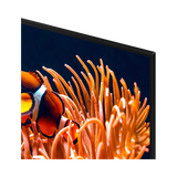 Samsung DU8000 Series 43" 16:9 60Hz 4K HDR LED LCD Smart TV — Being Shipped
