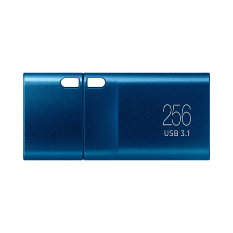 Samsung 256GB USB-C 3.2 Gen 1 Flash Drive (Blue) — Being Shipped