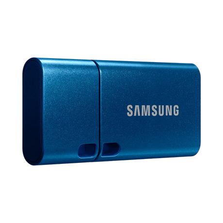 Samsung 256GB USB-C 3.2 Gen 1 Flash Drive (Blue) — Being Shipped