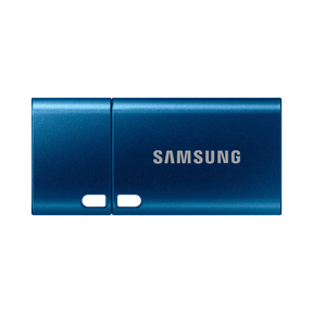 Samsung 256GB USB-C 3.2 Gen 1 Flash Drive (Blue) — Being Shipped
