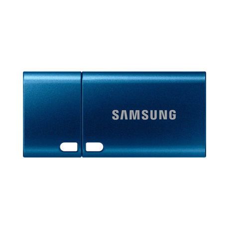 Samsung 256GB USB-C 3.2 Gen 1 Flash Drive (Blue) — Being Shipped