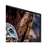 Samsung Q80D 55" 16:9 60Hz 4K HDR QLED Smart TV — Being Shipped