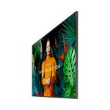 Samsung QB75C-N 75" 16:9 60Hz 4K UHD HDR VA LCD Commercial Monitor — Being Shipped