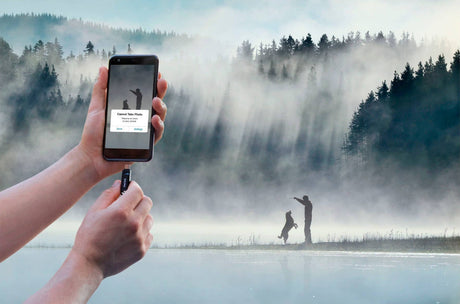 SanDisk Ultra Dual Drive Go 64GB USB 3.2 2-in-1 Flash Drive (Black) — Being Shipped