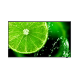 Sharp E328-2 32" 16:9 60Hz FHD IPS Commercial Monitor — Being Shipped