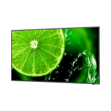 Sharp E328-2 32" 16:9 60Hz FHD IPS Commercial Monitor — Being Shipped