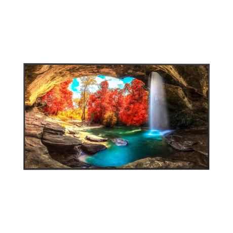 Sharp PN-ME652 65" 16:9 60Hz 4K UHD HDR IPS Commercial Monitor — Being Shipped