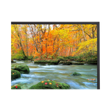 Sharp PN-ME652 65" 16:9 60Hz 4K UHD HDR IPS Commercial Monitor — Being Shipped