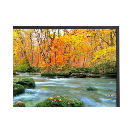 Sharp PN-ME652 65" 16:9 60Hz 4K UHD HDR IPS Commercial Monitor — Being Shipped