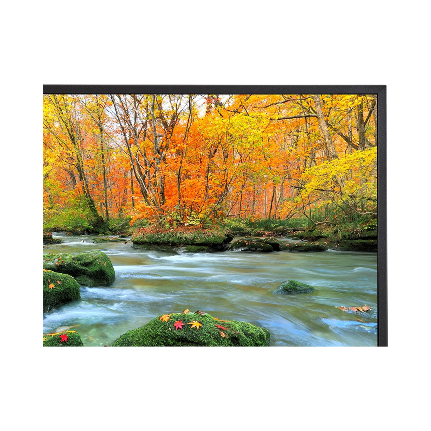 Sharp PN-ME652 65" 16:9 60Hz 4K UHD HDR IPS Commercial Monitor — Being Shipped