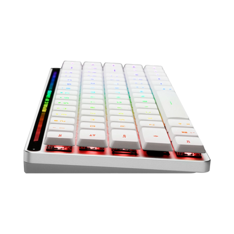 ASUS Falchion ROG RX Low Profile Wireless Gaming Keyboard (RX Blue) — Being Shipped