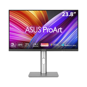 ASUS ProArt PA24ACRV 23.8" 16:9 75Hz QHD IPS Professional Monitor (Silver) — Being Shipped