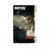 BenQ EW3290U 31.5" 4K HDR Ergonomic Monitor — Being Shipped