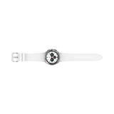 Samsung Galaxy Watch4 Classic Stainless Steel 42mm BT Smartwatch (Silver) — Being Shipped