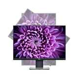 Dell P2421 24" 16:10 60Hz WUXGA IPS Monitor — Being Shipped