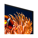 Samsung DU8000 Series 55" 16:9 60Hz 4K HDR LED Smart TV — Being Shipped