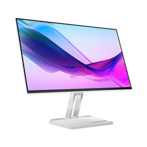 Lenovo L24i-4A 23.8" 16:9 100Hz FHD IPS Monitor (Cloud Gray) — Being Shipped