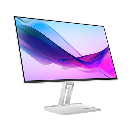 Lenovo L24i-4A 23.8" 16:9 100Hz FHD IPS Monitor (Cloud Gray) — Being Shipped