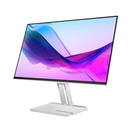 Lenovo L24i-4A 23.8" 16:9 100Hz FHD IPS Monitor (Cloud Gray) — Being Shipped