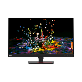 Lenovo ThinkVision P32p-20 31.5" 16:9 60Hz 4K IPS Monitor — Being Shipped