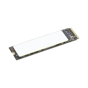 Lenovo ThinkPad Performance 1TB M.2 2280 PCIe Gen4 NVMe OPAL2 Internal SSD — Being Shipped
