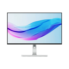 Lenovo L24m-4A 23.8" 16:9 100Hz FHD IPS Monitor (Cloud Gray) — Being Shipped